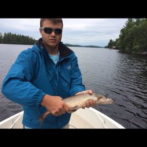 Meet your Posher, Hunter